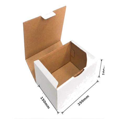 Caja Postal 25x15x10cm Blanca Exterior