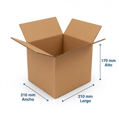 Caja de Cartón 21x21x17cm Canal Doble