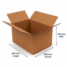 Caja de Cartón 25x20x15cm Canal Doble