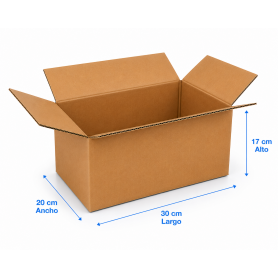 Caja de Cartón 30x20x17cm Canal Doble