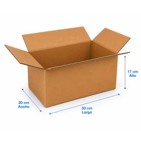 Caja de Cartón 30x20x17cm Canal Doble