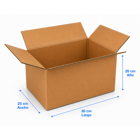 Caja de Cartón 30x25x20cm Canal Doble