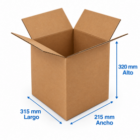 Caja de Cartón 31x21,5x32cm Canal Doble