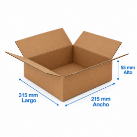Caja de Cartón 31,5x21,5x5,5cm Canal Sencillo