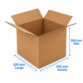 Caja de Cartón 32x24,5x30cm Canal Doble