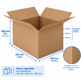 Caja de Cartón 35x25x30cm Canal Sencillo Kraft Exterior con hendidos