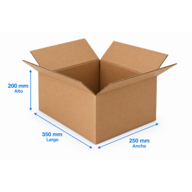 Caja de Cartón 35x25x20cm Canal Doble
