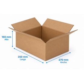 Caja de Cartón 35x27x16cm Canal Doble