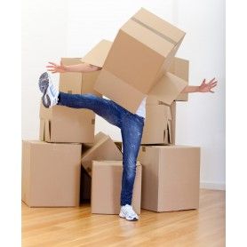 Pack Mudanzas - Solter@s
